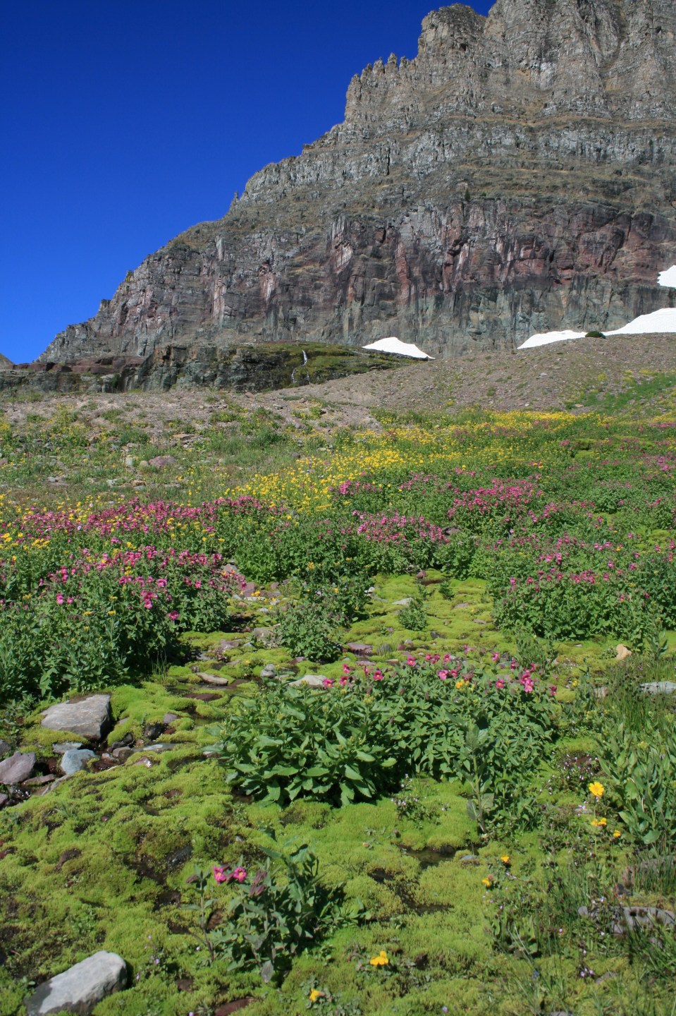 glacier national park, Montana