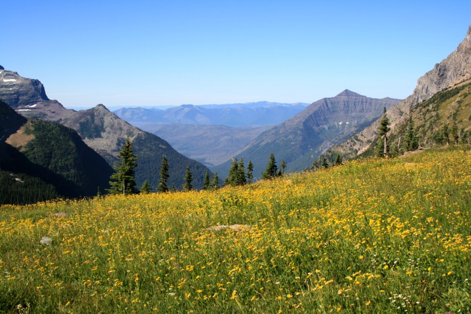 glacier national park, Montana