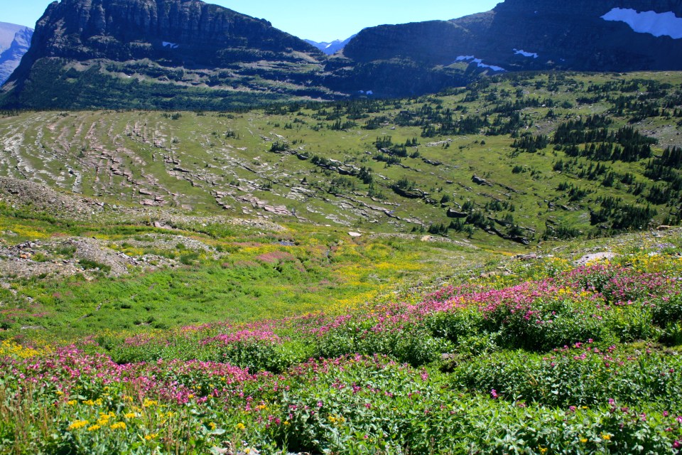 glacier national park, Montana
