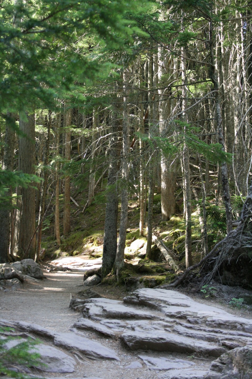 glacier national park, Montana
