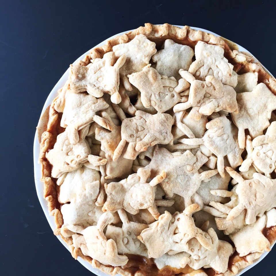 pokemon-pie